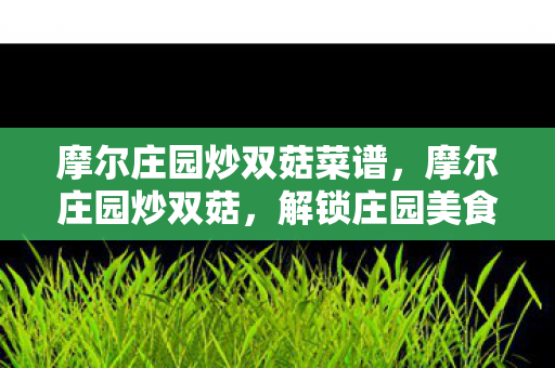 摩尔庄园炒双菇菜谱，摩尔庄园炒双菇，解锁庄园美食的秘密