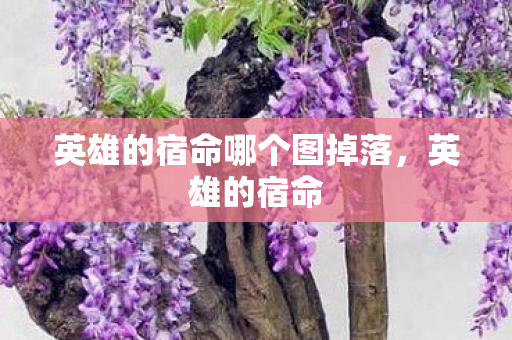 英雄的宿命哪个图掉落,英雄的宿命 英雄的宿命哪个图掉落,英雄的宿命