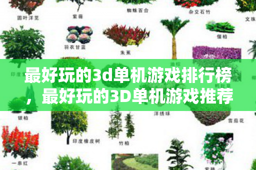 最好玩的3d单机游戏排行榜，最好玩的3D单机游戏推荐