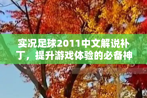 实况足球2011中文解说补丁，提升游戏体验的必备神器