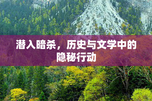 潜入暗杀，历史与文学中的隐秘行动