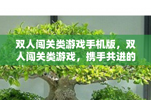 双人闯关类游戏手机版，双人闯关类游戏，携手共进的冒险之旅