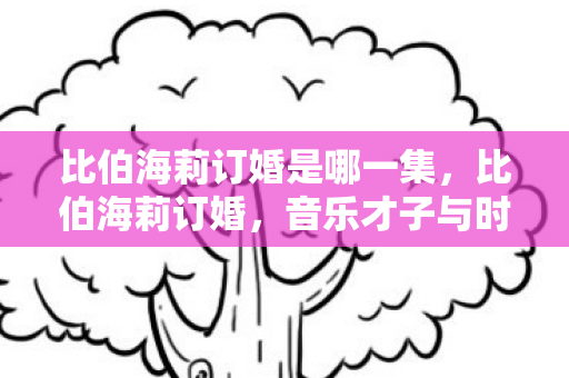 比伯海莉订婚是哪一集，比伯海莉订婚，音乐才子与时尚名媛的浪漫史