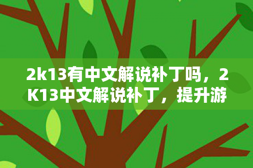 2k13有中文解说补丁吗，2K13中文解说补丁，提升游戏体验的必备神器