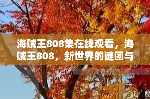 海贼王808集在线观看,海贼王808,新世界的谜团与冒险 海贼王808集在线观看,海贼王808,新世界的谜团与冒险