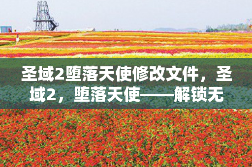 圣域2堕落天使修改文件，圣域2，堕落天使——解锁无限可能的修改之旅