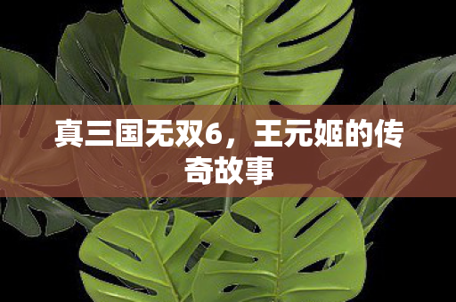 王元姬的传奇故事图片