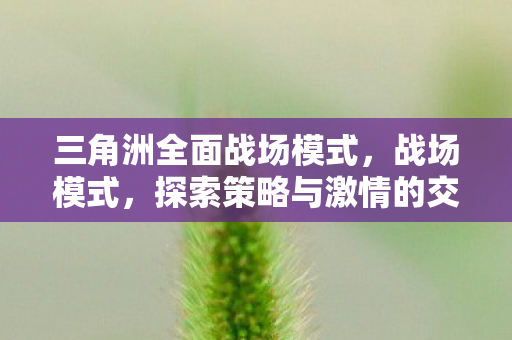 探索策略与激情的交汇点图片