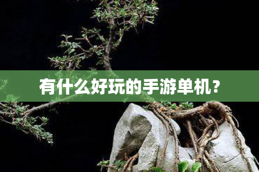 有什么好玩的手游单机图片