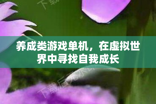 养成类游戏单机，在虚拟世界中寻找自我成长