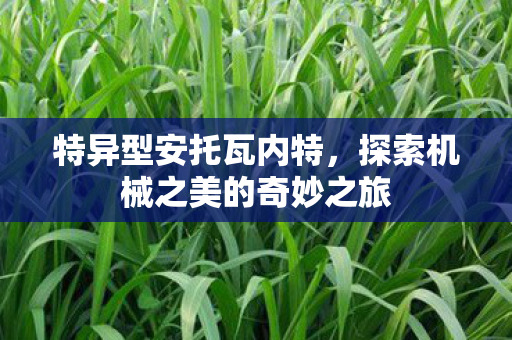 特异型安托瓦内特，探索机械之美的奇妙之旅