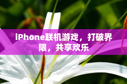 iPhone联机游戏图片