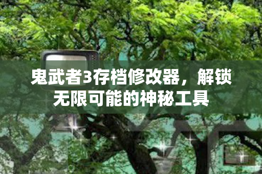 鬼武者3存档修改器，解锁无限可能的神秘工具
