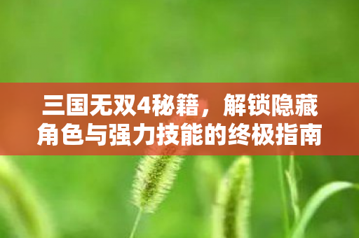 三国无双4秘籍，解锁隐藏角色与强力技能的终极指南