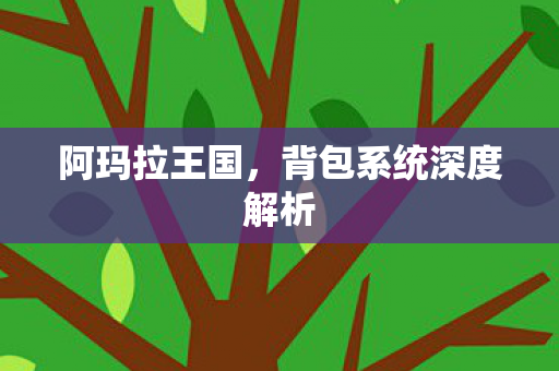 阿玛拉王国，背包系统深度解析