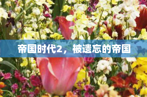 被遗忘的帝国图片