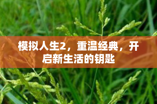 模拟人生2，重温经典，开启新生活的钥匙