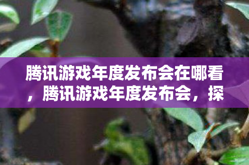 腾讯游戏年度发布会在哪看，腾讯游戏年度发布会，探索未来游戏世界的无限可能