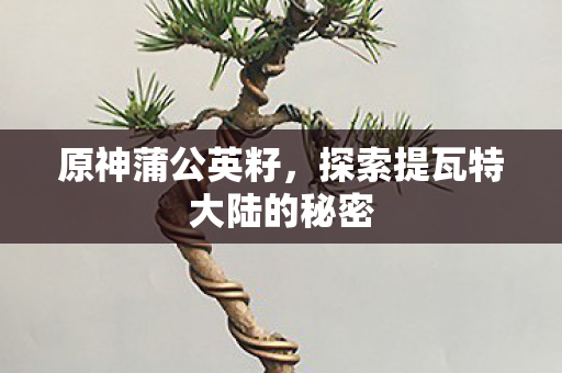 探索提瓦特大陆的秘密图片