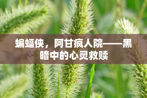 蝙蝠侠，阿甘疯人院——黑暗中的心灵救赎