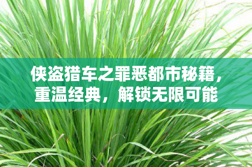 侠盗猎车之罪恶都市秘籍，重温经典，解锁无限可能