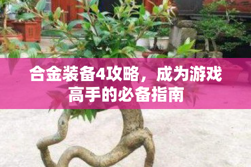 合金装备4攻略，成为游戏高手的必备指南