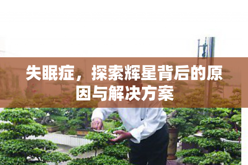失眠症，探索辉星背后的原因与解决方案