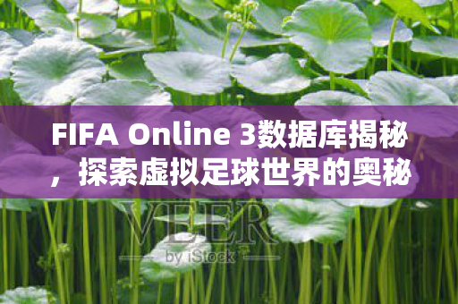 FIFA Online 3数据库揭秘，探索虚拟足球世界的奥秘