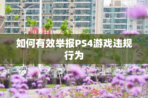 如何有效举报PS4游戏违规行为