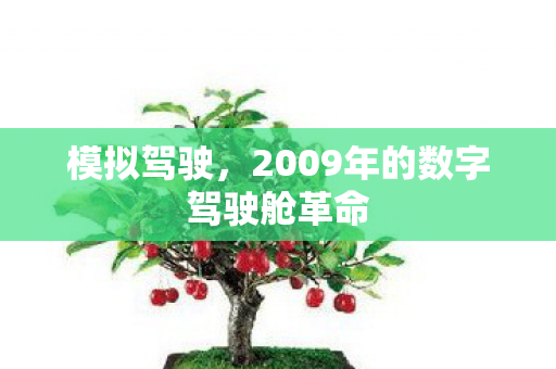 模拟驾驶，2009年的数字驾驶舱革命