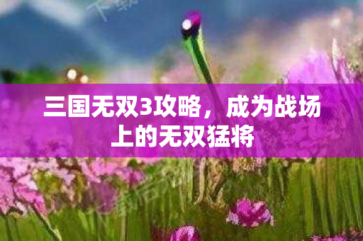 三国无双3攻略，成为战场上的无双猛将