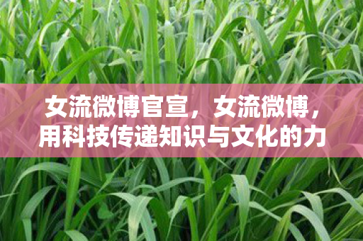 女流微博官宣，女流微博，用科技传递知识与文化的力量