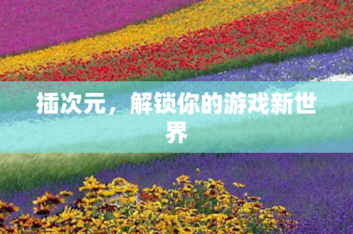 插次元，解锁你的游戏新世界