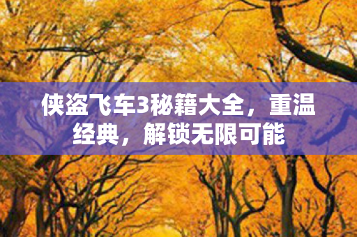 侠盗飞车3秘籍大全，重温经典，解锁无限可能