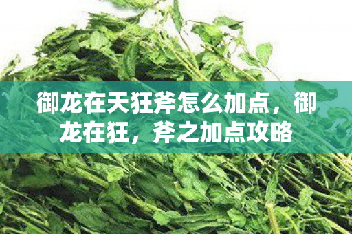 御龙在天狂斧怎么加点图片