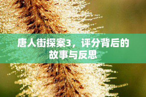 唐人街探案3，评分背后的故事与反思