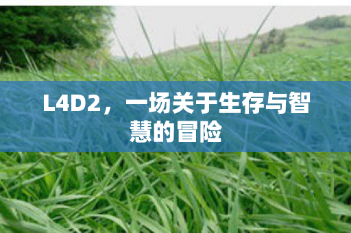 L4D2，一场关于生存与智慧的冒险