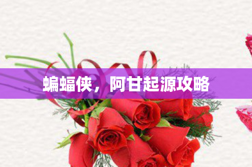 蝙蝠侠，阿甘起源攻略