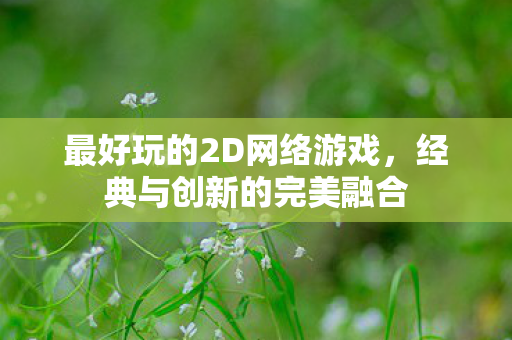 最好玩的2D网络游戏，经典与创新的完美融合