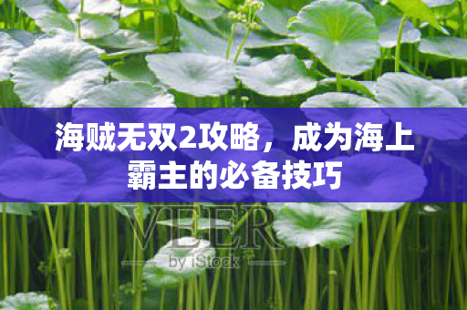 海贼无双2攻略，成为海上霸主的必备技巧