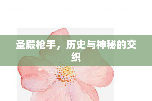 圣殿枪手，历史与神秘的交织