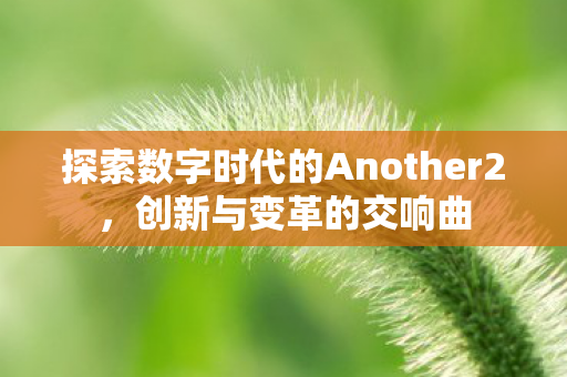 探索数字时代的Another2图片