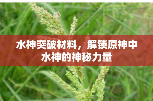 水神突破材料，解锁原神中水神的神秘力量