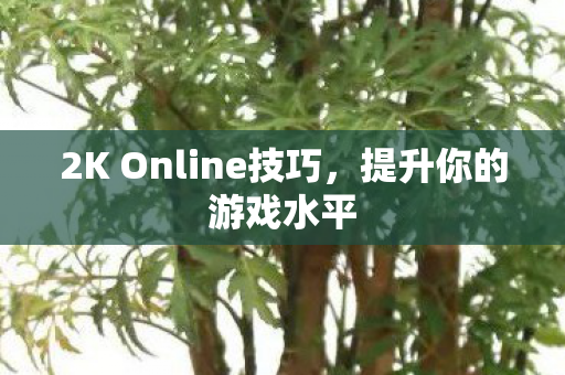 2K Online技巧，提升你的游戏水平