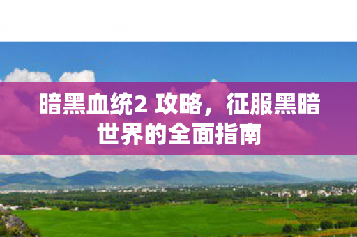 暗黑血统2 攻略，征服黑暗世界的全面指南