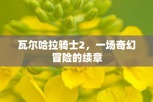 瓦尔哈拉骑士2，一场奇幻冒险的续章