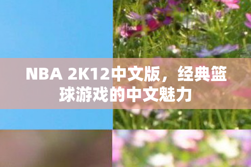 NBA 2K12中文版，经典篮球游戏的中文魅力