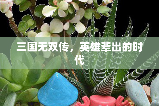 三国无双传，英雄辈出的时代