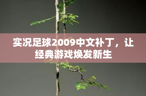 实况足球2009中文补丁，让经典游戏焕发新生