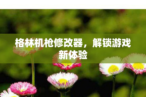 格林机枪修改器图片